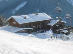Bergeralm in Saalbach